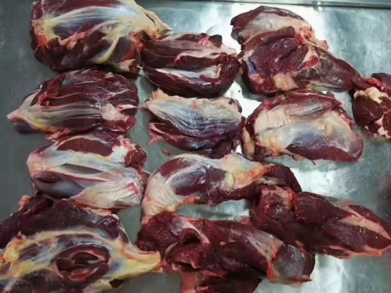 锡盟草地溜达黄牛肉，肉瘦膘黄，一手货源！