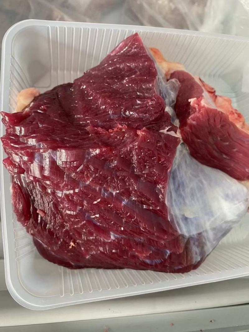 锡盟草地溜达黄牛肉，肉瘦膘黄，一手货源！