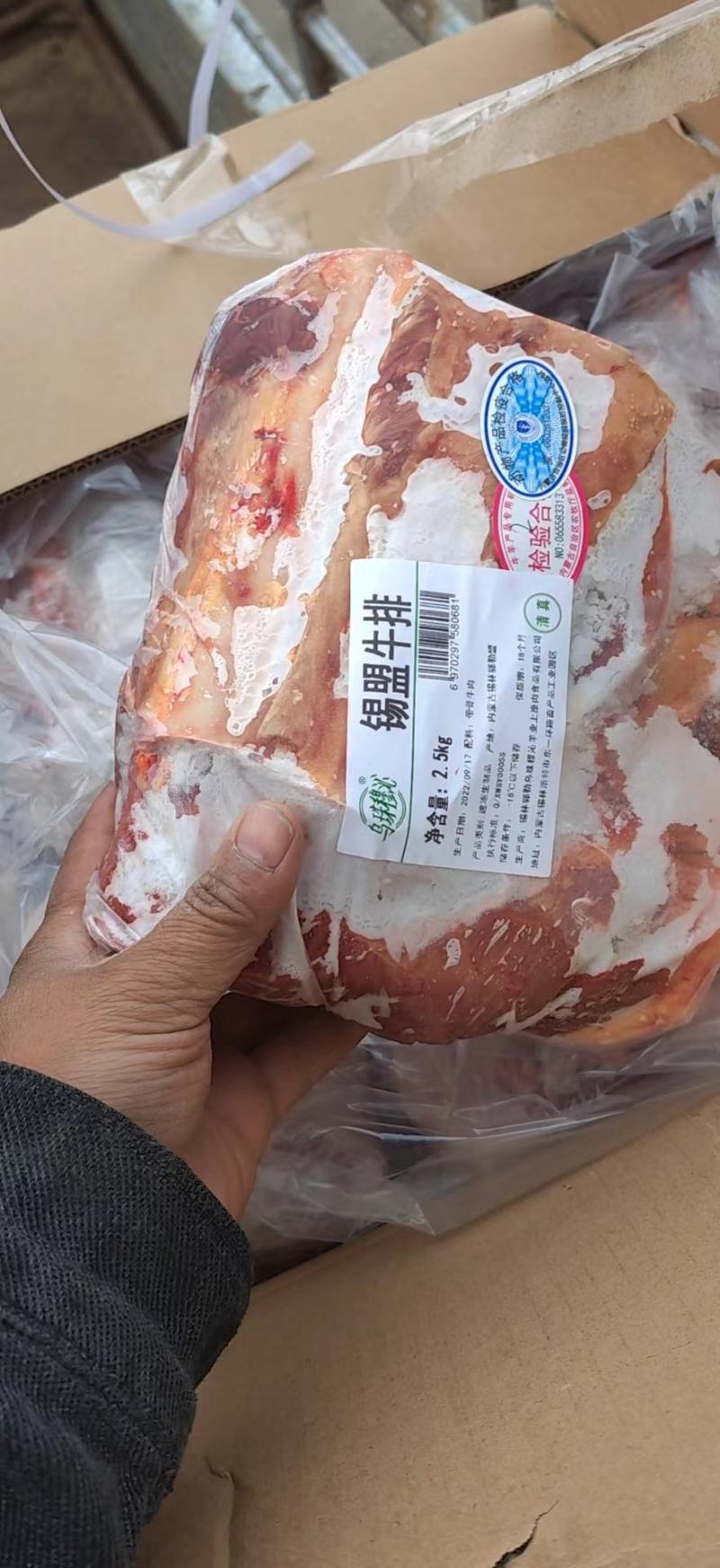 锡盟草地溜达黄牛肉，肉瘦膘黄，一手货源！