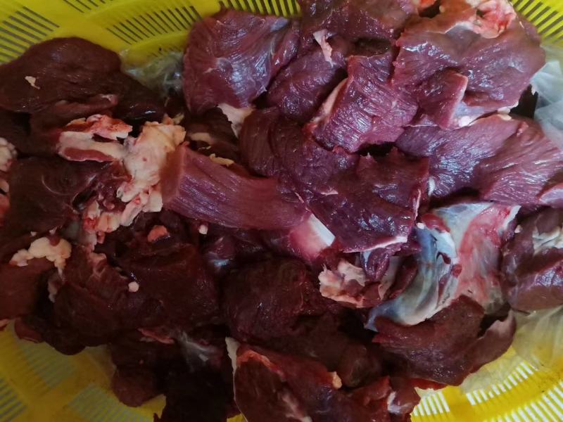 锡盟草地溜达黄牛肉，肉瘦膘黄，一手货源！