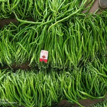 大量提供供应