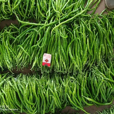 大量提供供应