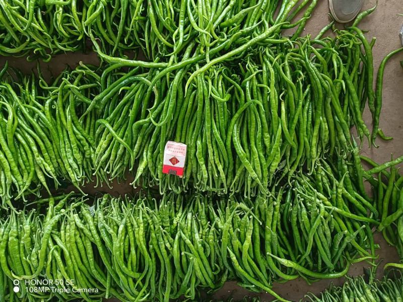 大量提供供应