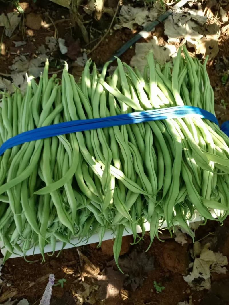 大量提供供应