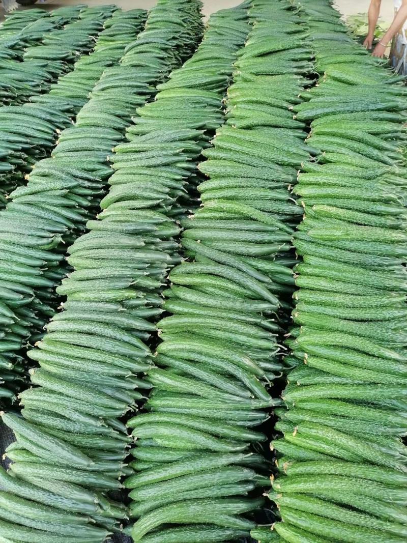 大量提供供应