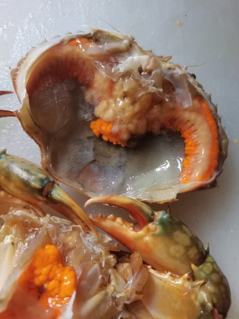天然螃蟹海鲜