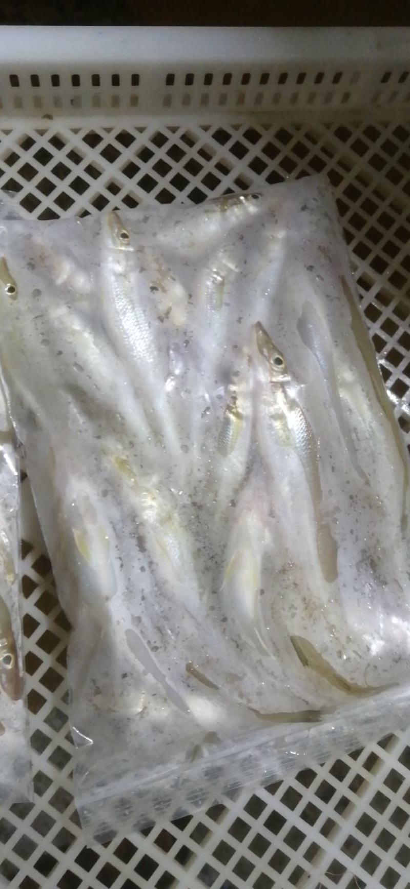 天然螃蟹海鲜