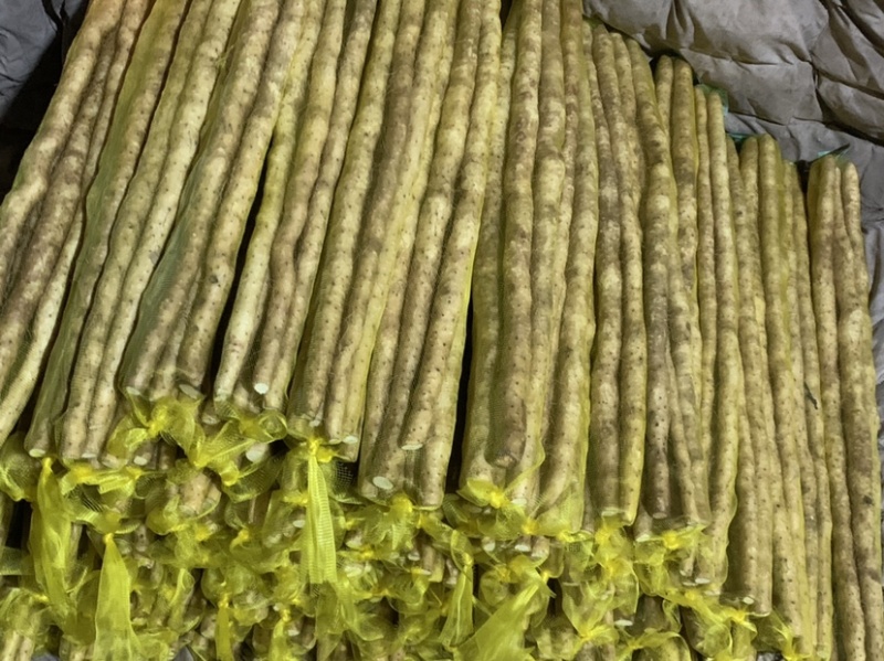 【河北小白嘴山药】常年有货软糯香甜对接市场电商商超