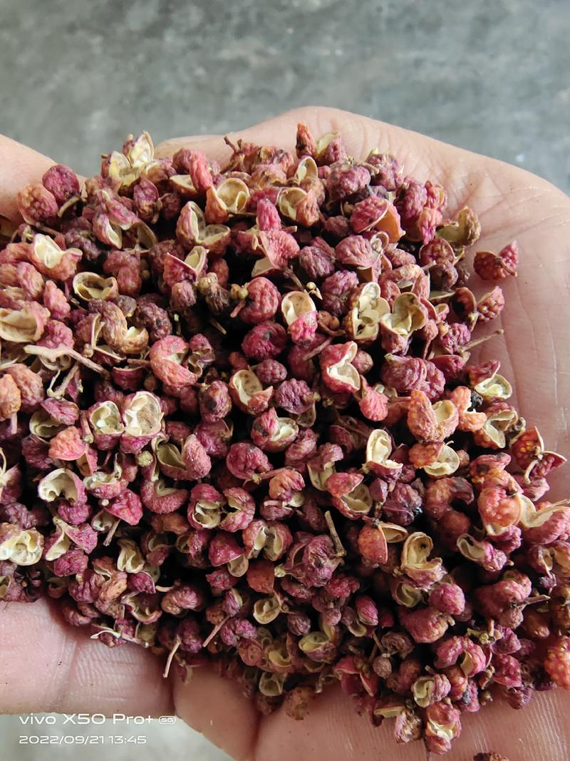 韩城大红袍花椒产地货源，产品热销中，今年价格便宜。