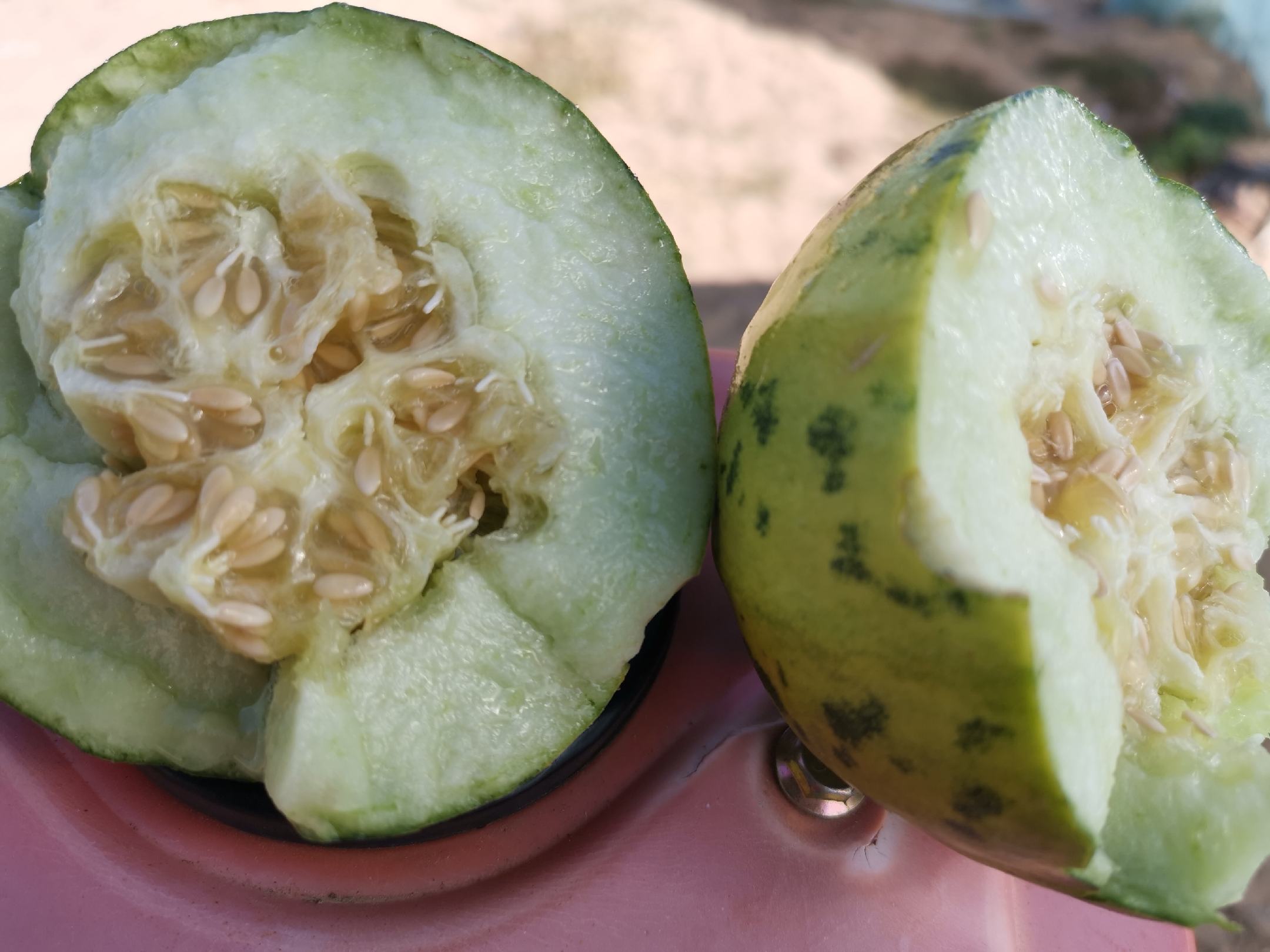 挑选网纹瓜与玉菇甜瓜的方法
