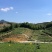 福建安溪铁观音产地，自有茶园批发，原产地发货，价格实惠