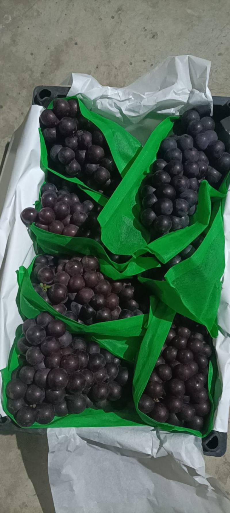 巨峰葡萄