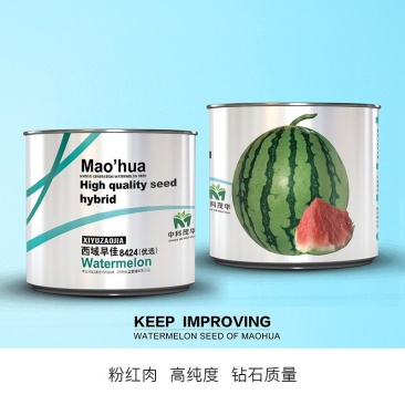 西域早佳8424西瓜种子，新疆8424，薄皮脆甜爽口