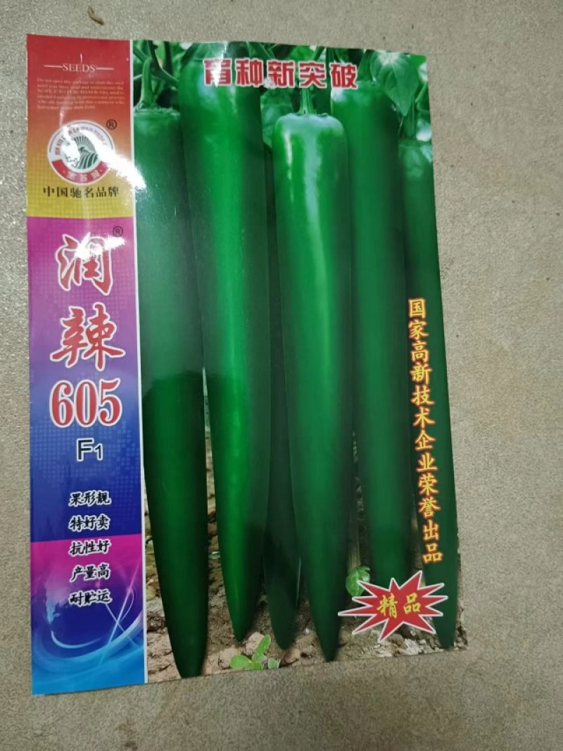 广西育苗种苗常年代育大青椒苗品种优，质量保证。