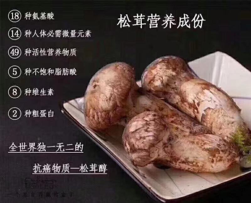 沙木松茸，过几天就结束了，欢迎下单