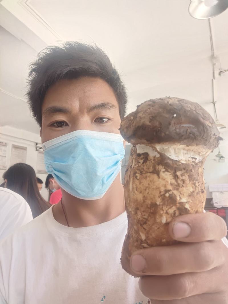 沙木松茸，过几天就结束了，欢迎下单