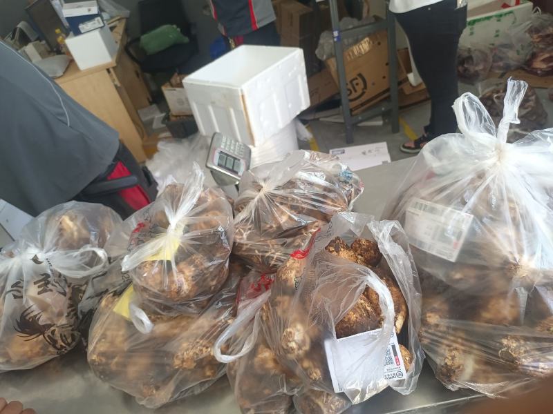 沙木松茸，过几天就结束了，欢迎下单