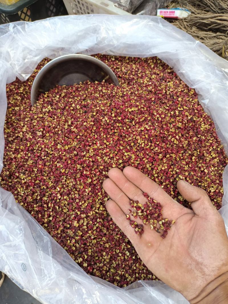 沙木松茸，过几天就结束了，欢迎下单