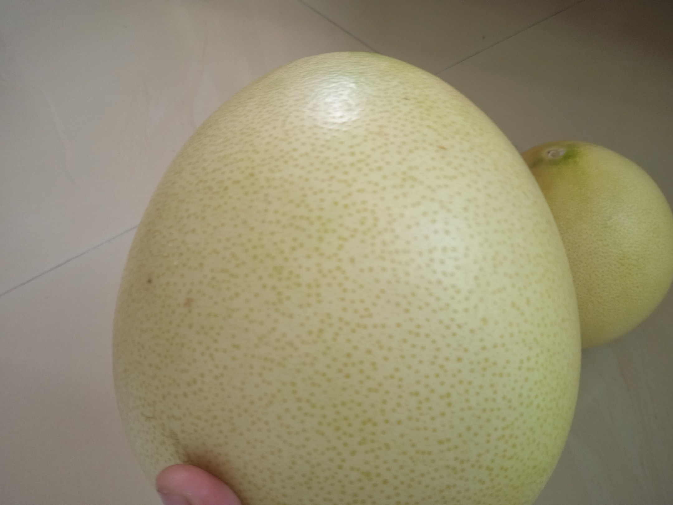 海南红灵芝包装与切果展示