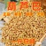 葫芦巴籽中药材批发芦巴子，色泽鲜艳，无杂志，
