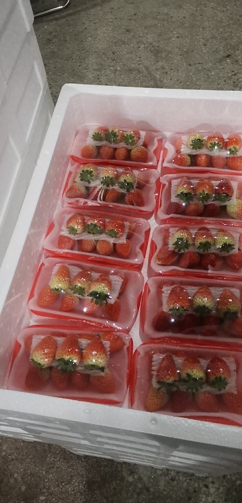徐州草莓上市，宁玉，妙香，全国发货。诚信经营。