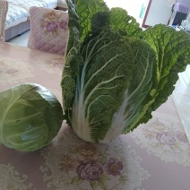 和顺玲珑黄25天大量上市