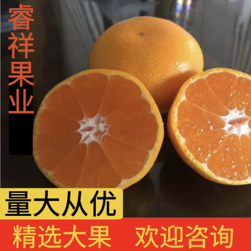血橙重庆血橙精品血橙酸甜适口基地供应量大从优