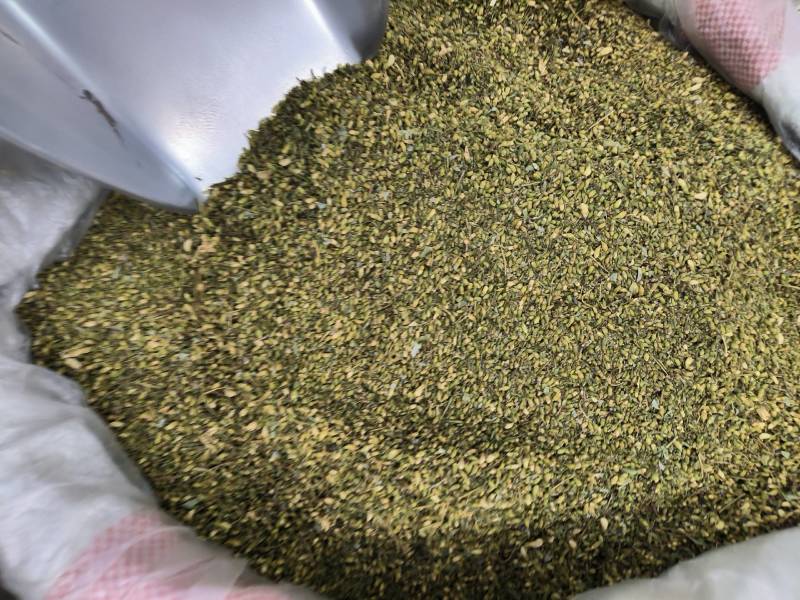 中药材新货槐米。常年经营各种中药材，可零售批发。