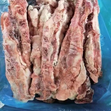 多肉胸骨