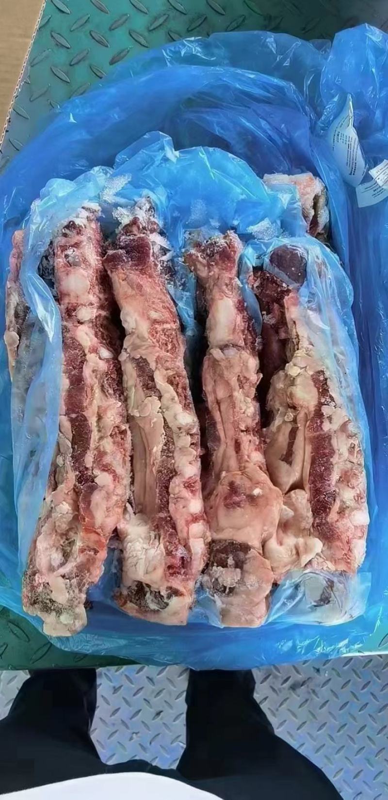 多肉胸骨