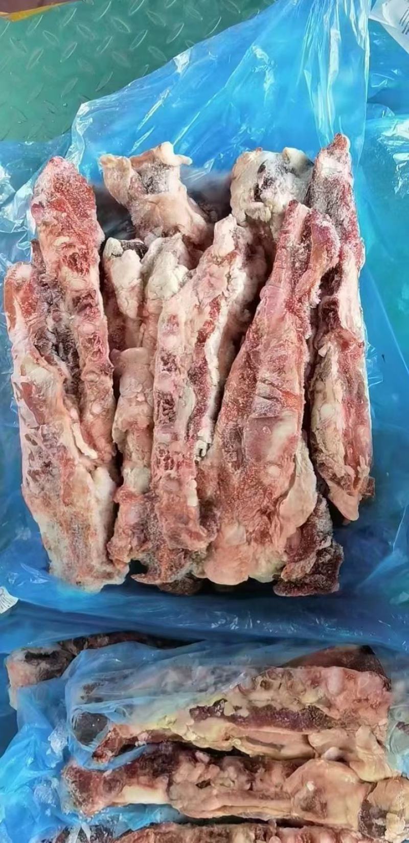 多肉胸骨