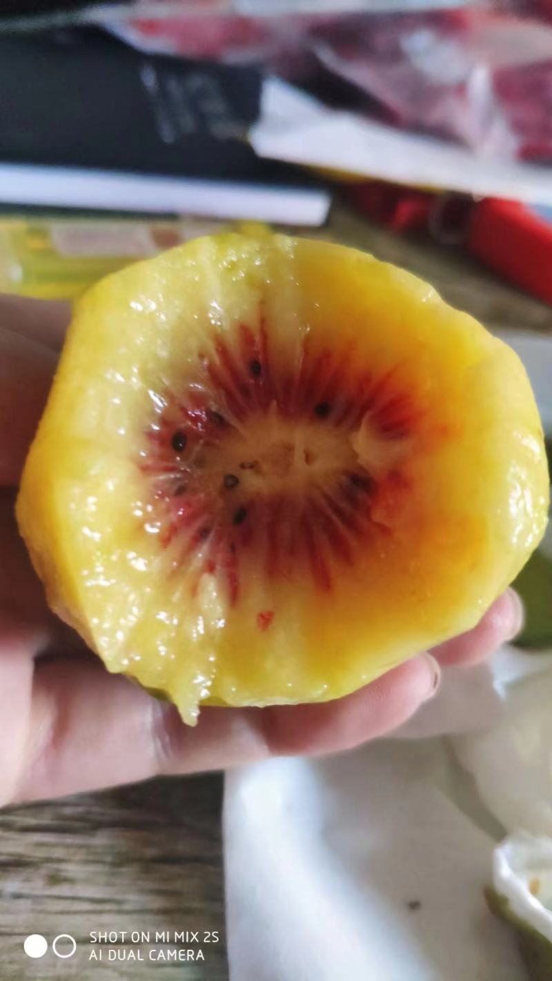 湘西凤凰红心猕猴桃(红阳)