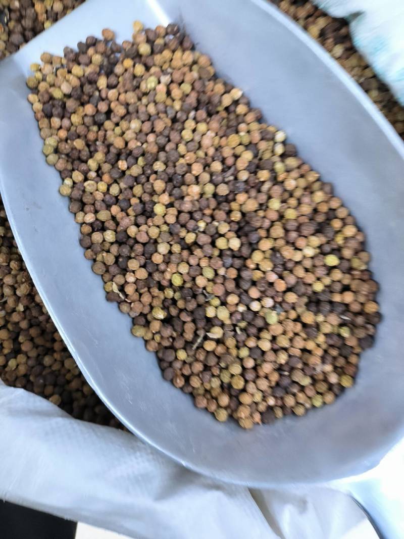 中药材梧桐子。梧桐子，可零售批发，常年经营各种中药材。