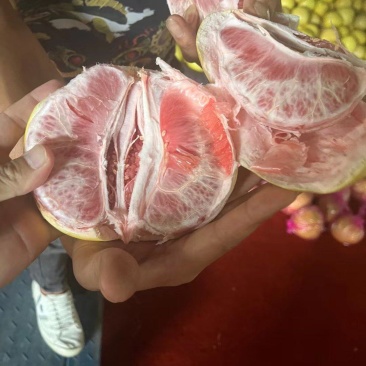三红蜜柚小薄皮口感甜甜密市场电商超市每天有货需要联系