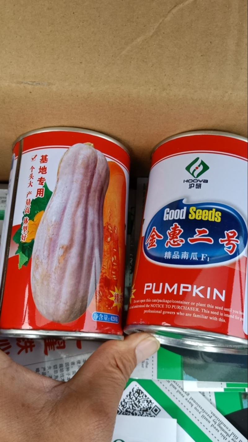 南瓜
