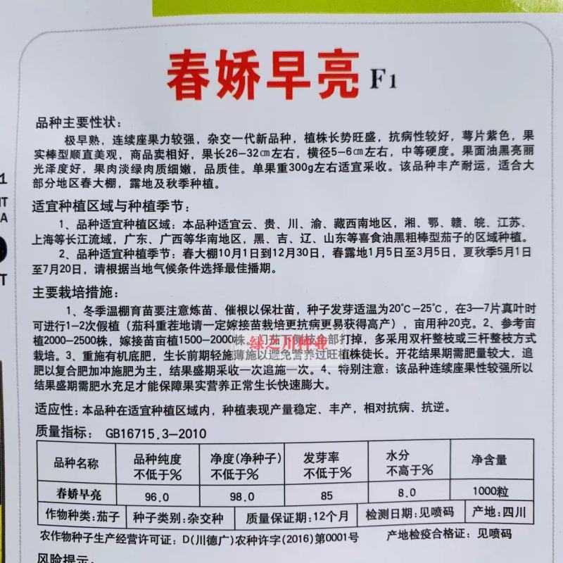 早抢一台果上市特早熟茄子种子春娇早亮油黑亮丽长茄种子