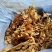 茶树菇金针菇跑江湖批发地摊产品