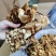 茶树菇金针菇跑江湖批发地摊产品