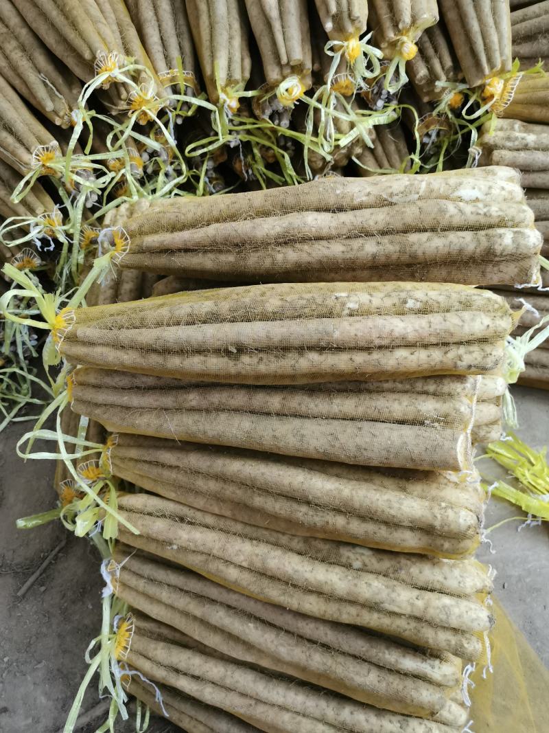电商小白嘴双棒山药，紫山药，基地种植，支持视频看货