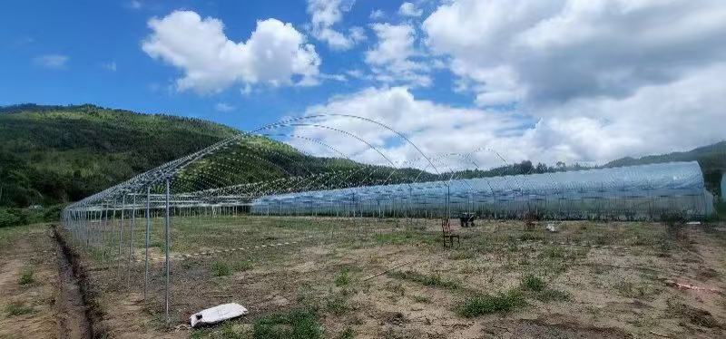 温室大棚各种大棚和配件免费设计专业安装