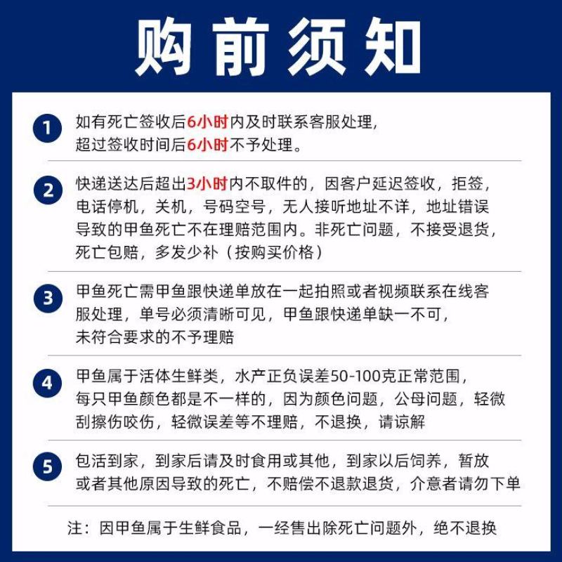 十年生态外塘老甲鱼精品江西老母鱼老鳖吃养虾长大种鳖土鳖