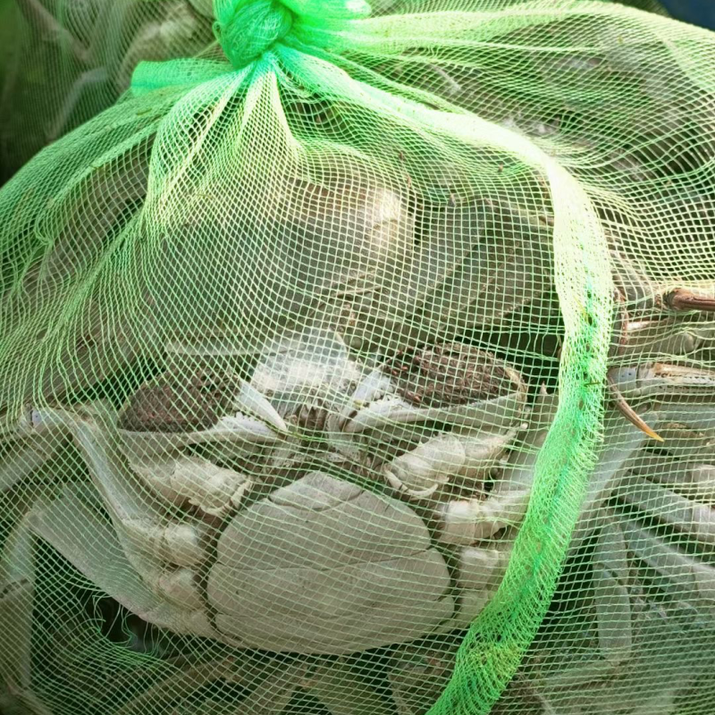 自己家里大闸蟹上市了
