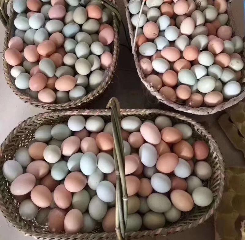 土鸡蛋，原生态土鸡蛋，散养土鸡蛋，欢迎各位老板下单