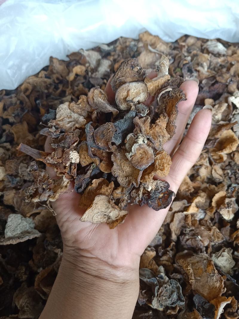 云南普洱野生木耳_自然晒干