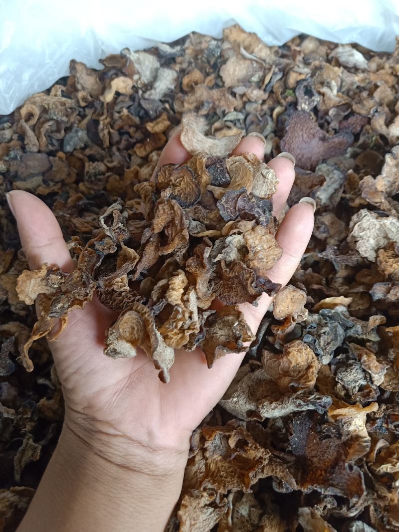 云南普洱野生木耳_自然晒干