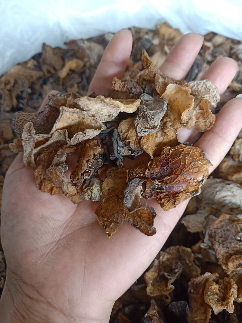 云南普洱野生木耳_自然晒干