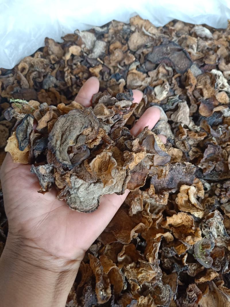 云南普洱野生木耳_自然晒干