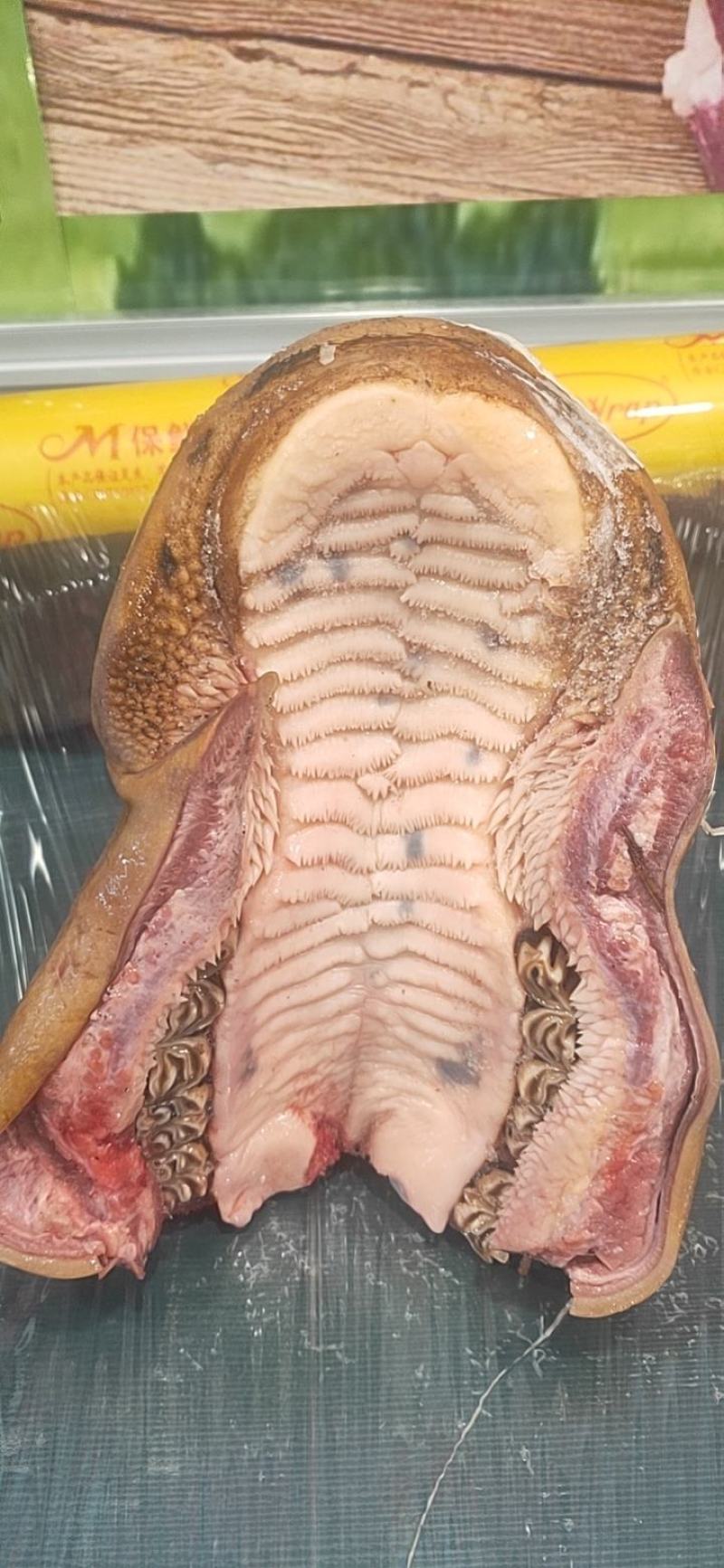 火烧牛鼻子酒店特色食材