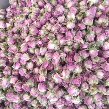 大马士革玫瑰花