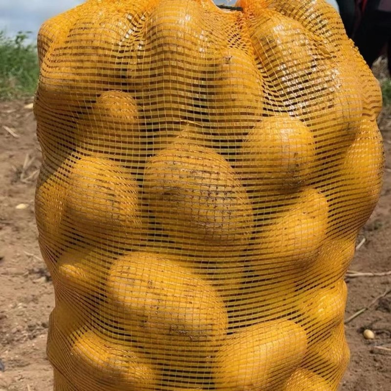 大量出售贵州威宁威宇7号，或威宇5号青属9号